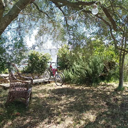 Garden * Castro Urdiales