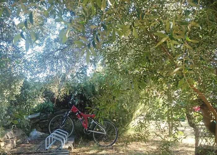 컨트리하우스 Garden